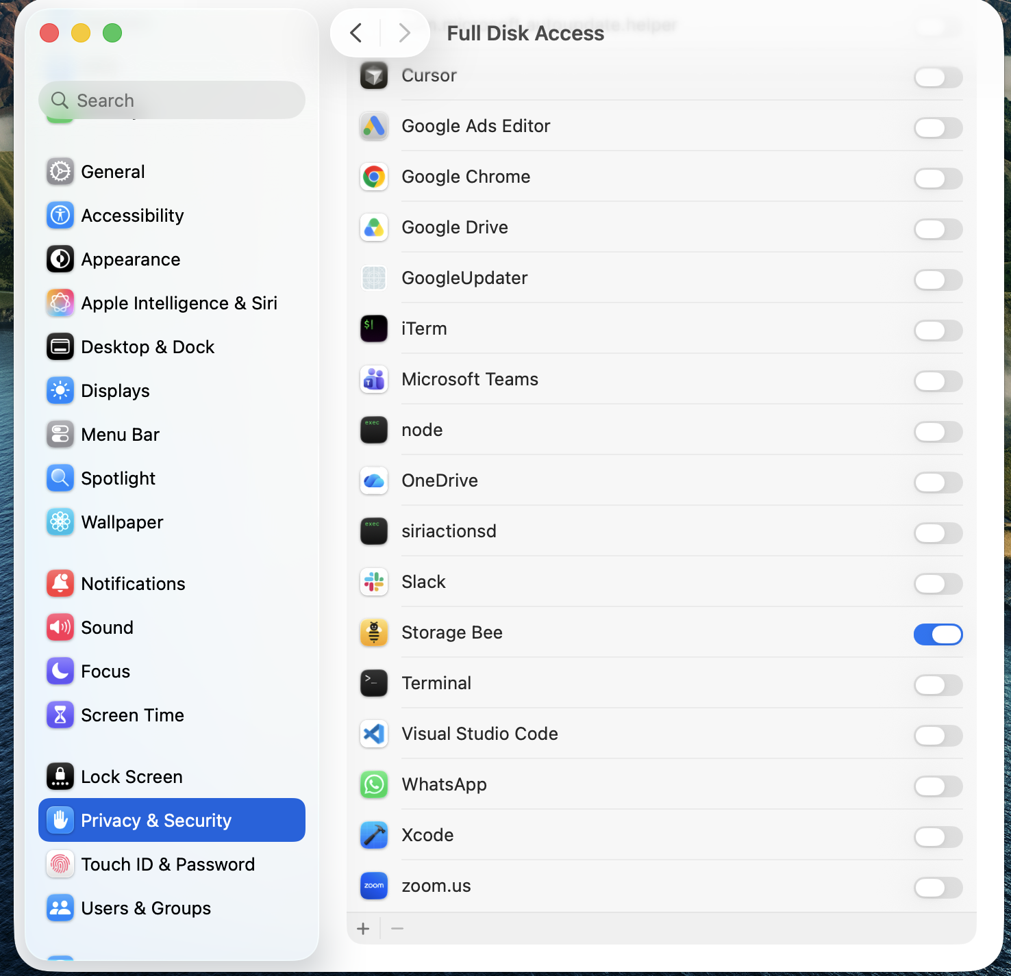 Full Disk Access settings with Storage Bee turned on